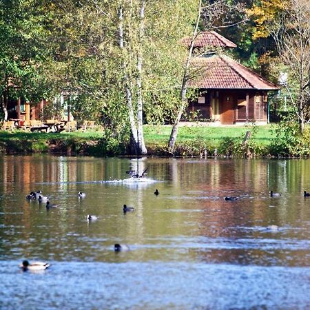 Seen- Und Felsenland Ludwigswinkel Buitenkant foto