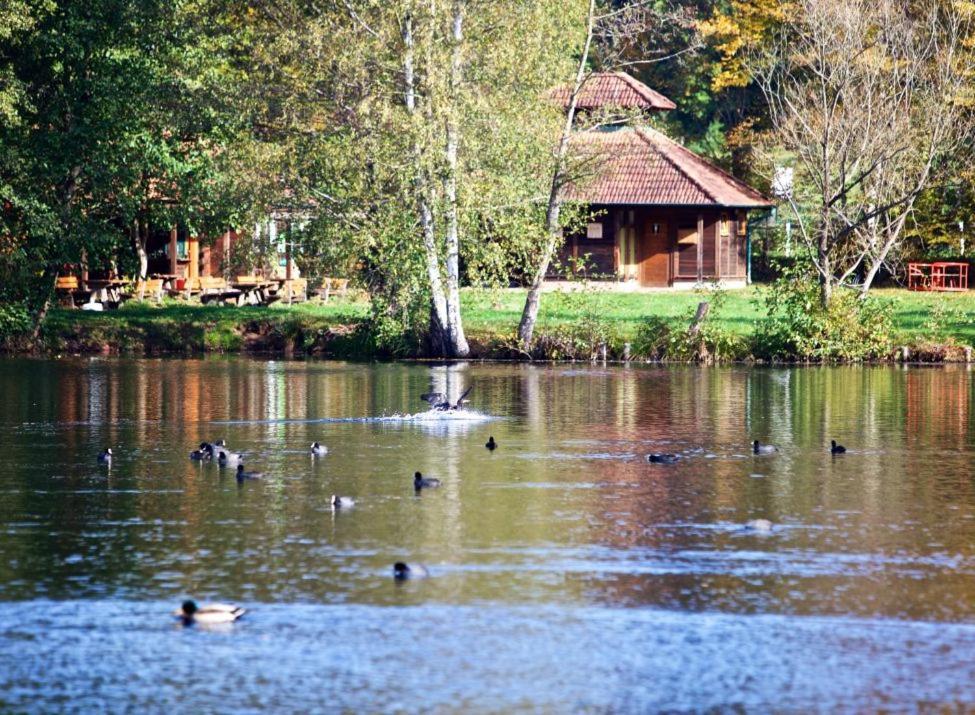 Seen- Und Felsenland Ludwigswinkel Buitenkant foto